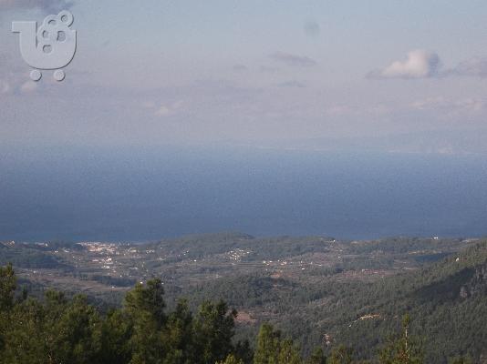 PoulaTo: αγροτεμαχιο σαμος